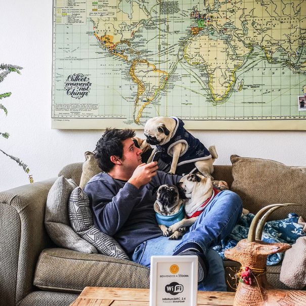 Hospedaje-en-tijuana-airbnb-petfriendly